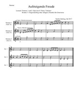 Aufsteigende Freude - für 3 Melodieinstrumente in C